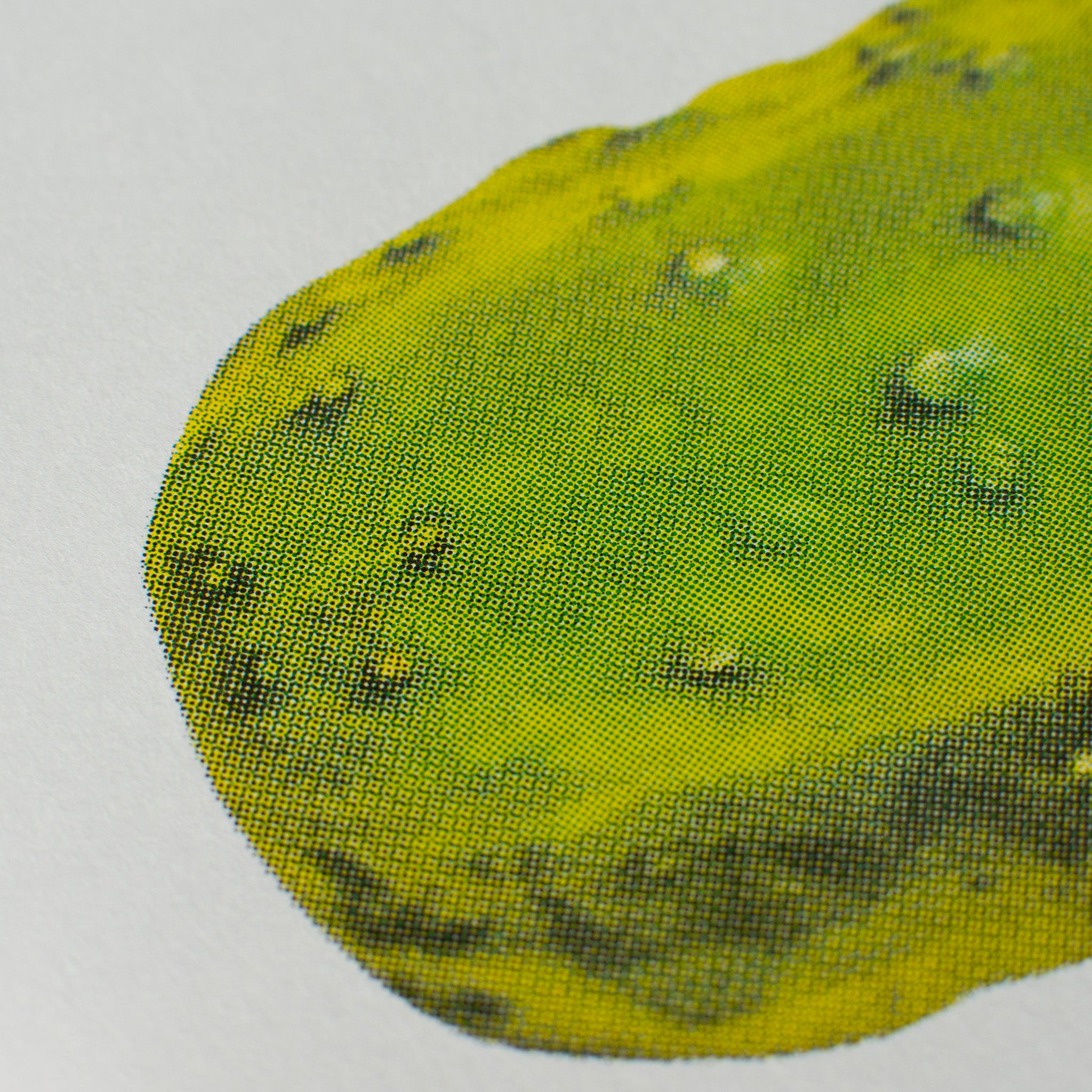 Risography Artprint Pickle