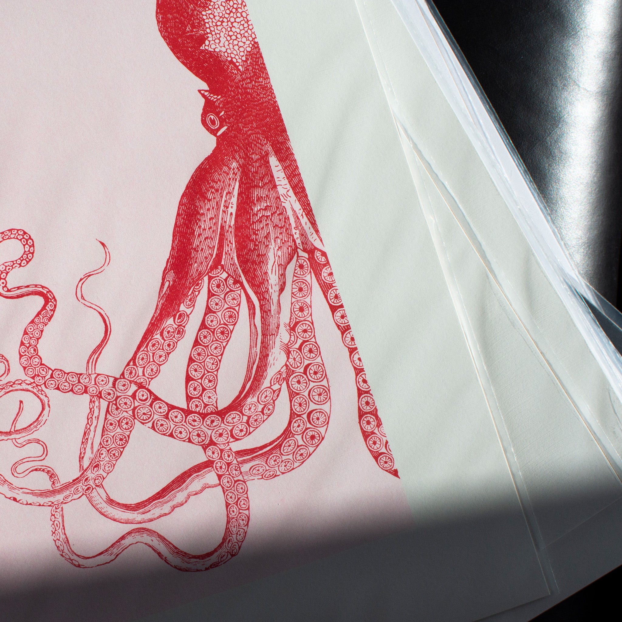 Risographie Artprint Oktopus