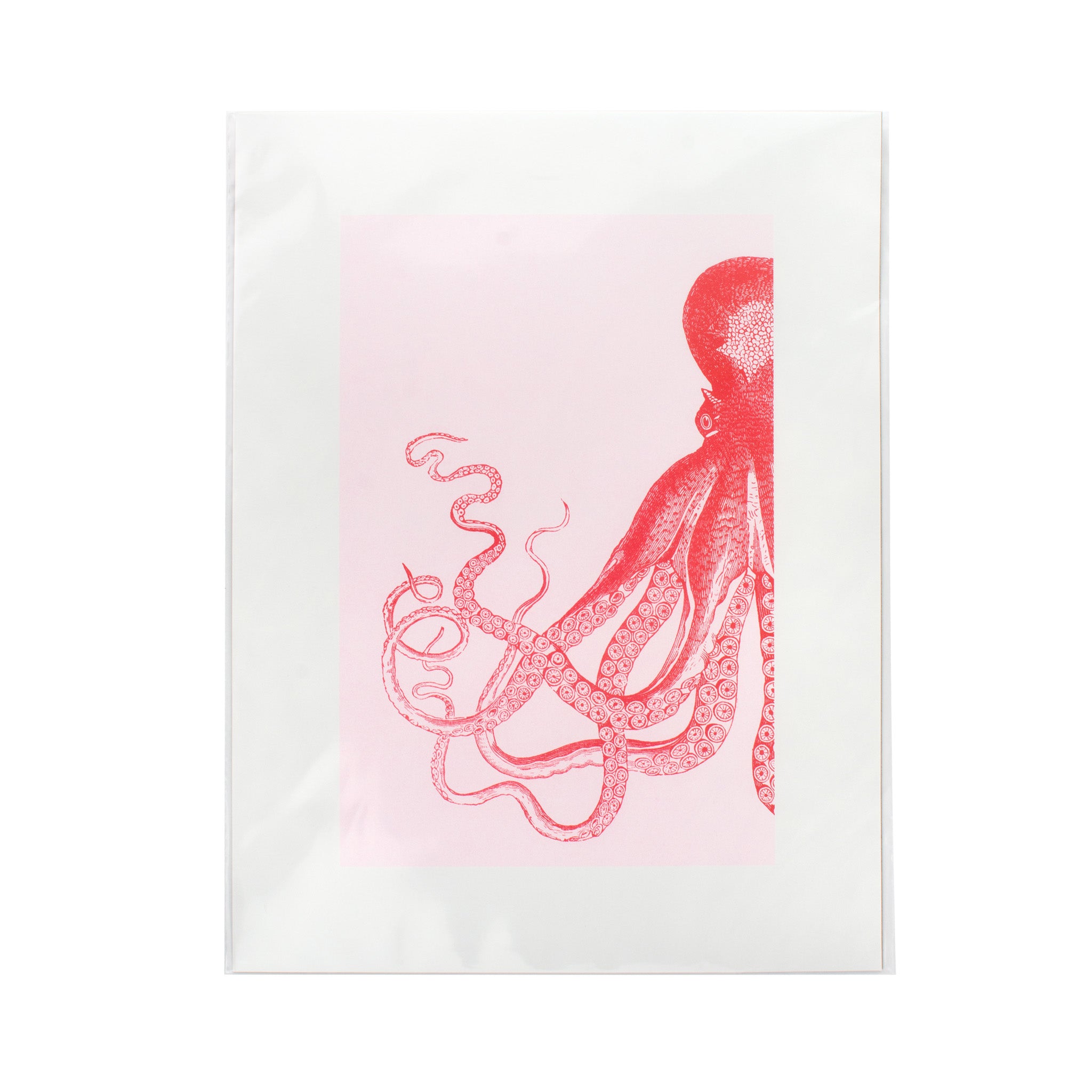 Risographie Artprint Oktopus