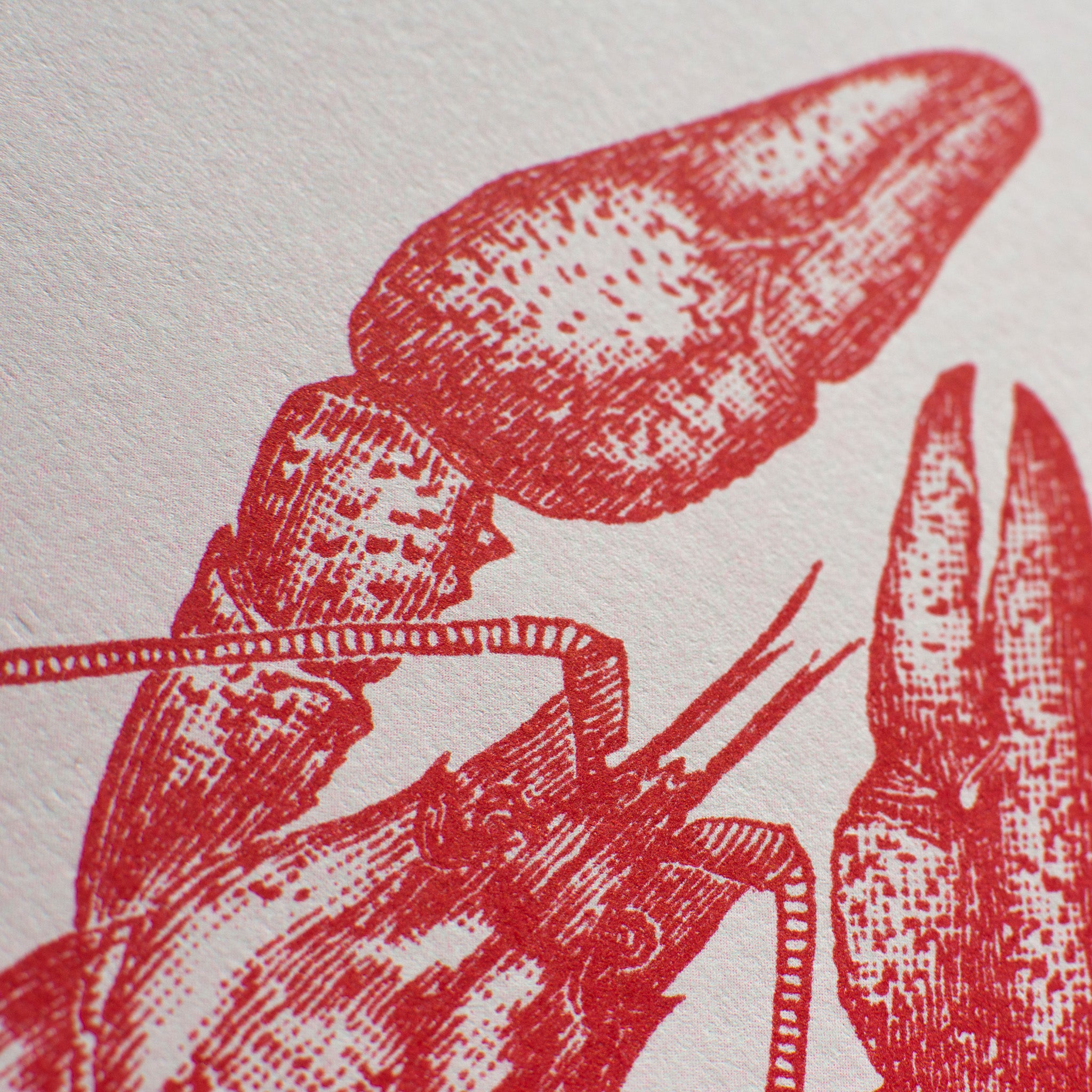 Risographie Artprint Lobster