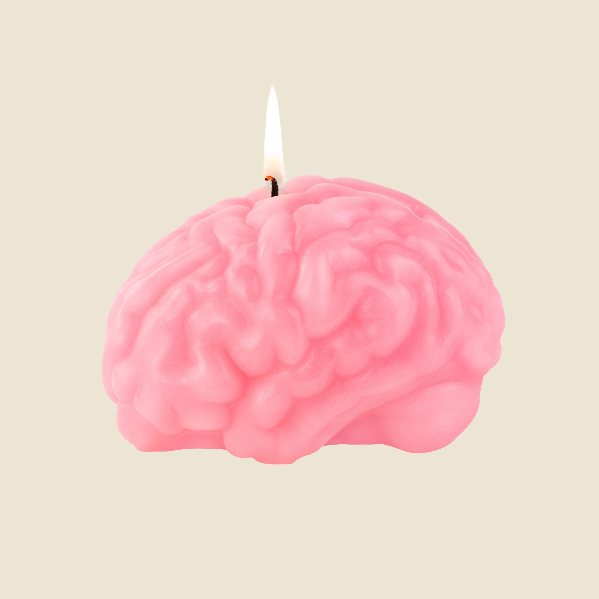 Arts of Parts Brain Candle