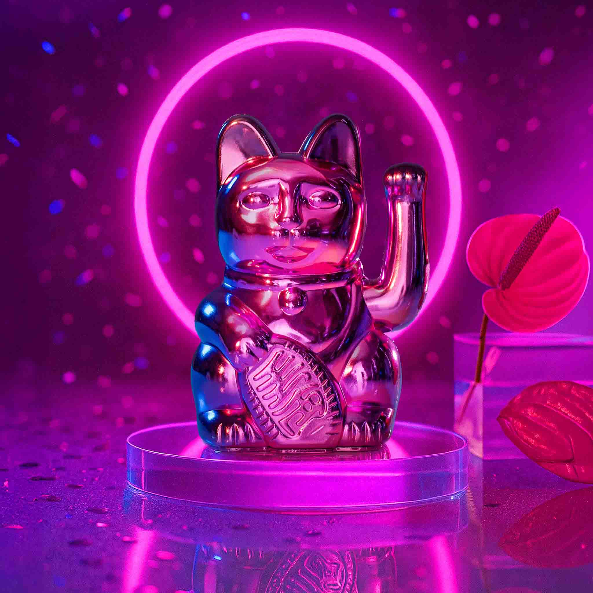 パンツ Lucky Cat Winkekatze kaufen – Exklusive Special Editions für dein Zuhause