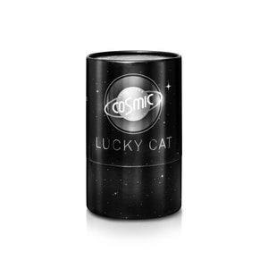 Lucky Cat Cosmic Edition Mercury - Shiny Silver