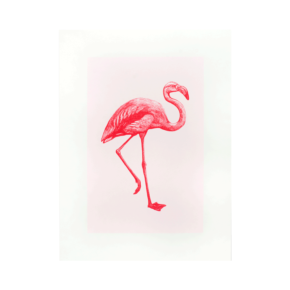 Risography Artprint Flamingo