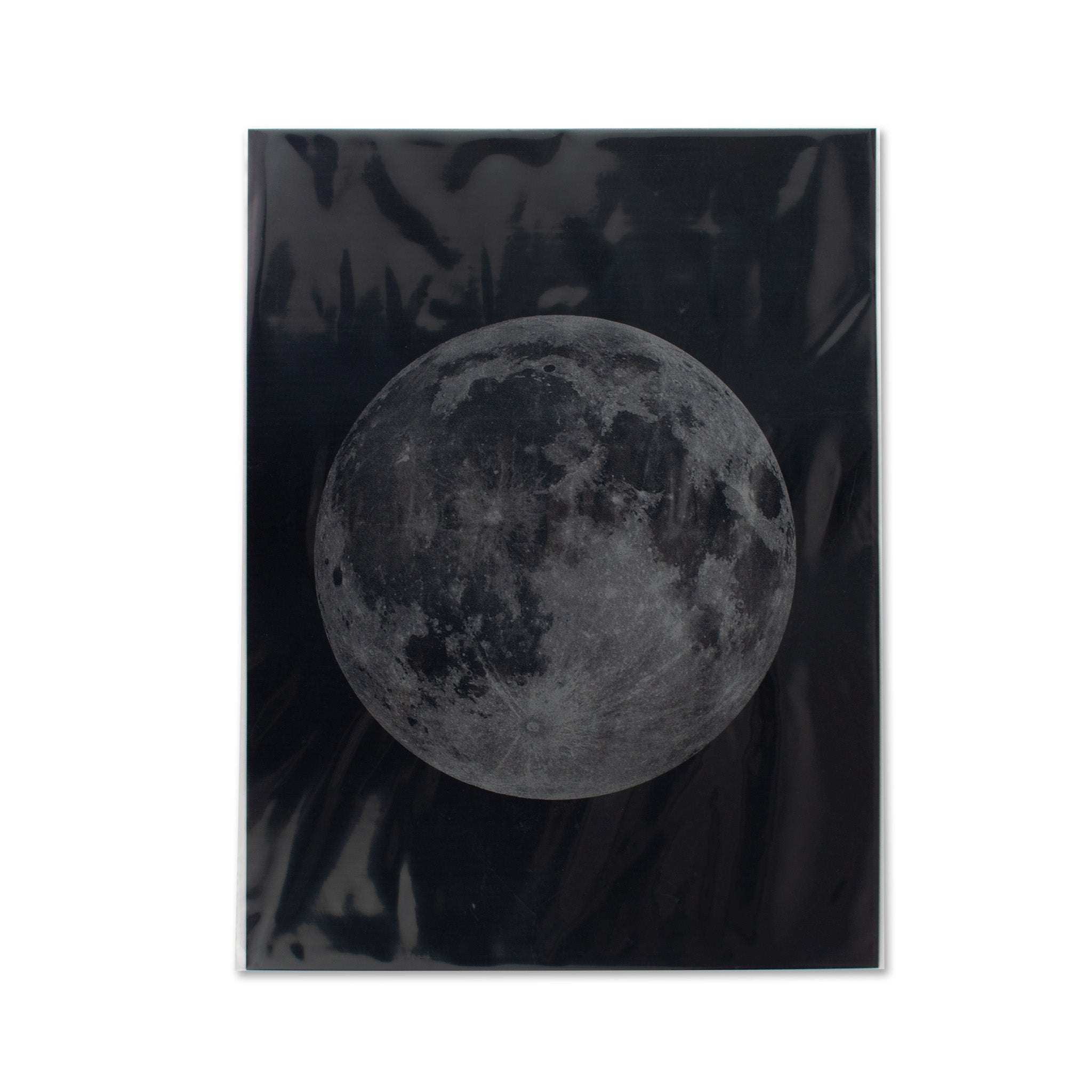 Risography Artprint Moon – Donkey Products