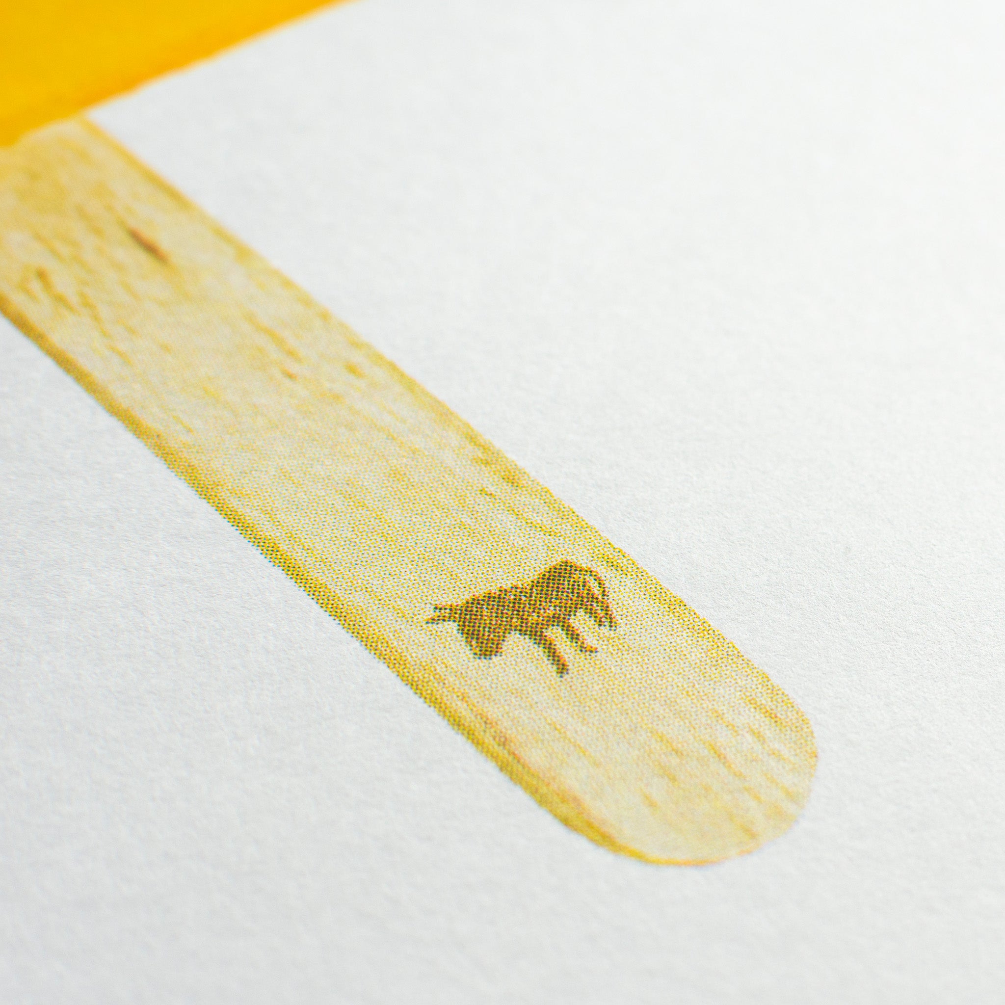 Risographie Artprint Popsicle