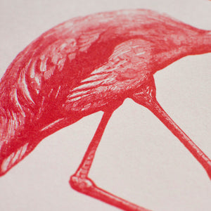 Risography Artprint | Flamingo